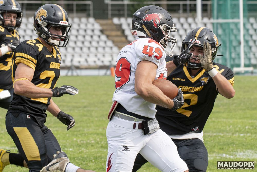 SKORPIONS, MASTINI, VIPERS E GIAGUARI AVANTI TUTTA