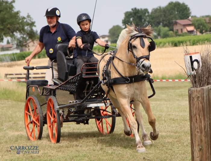 Coppa delle Regioni F.I.S.E. all’Ippodromo Arcoveggio