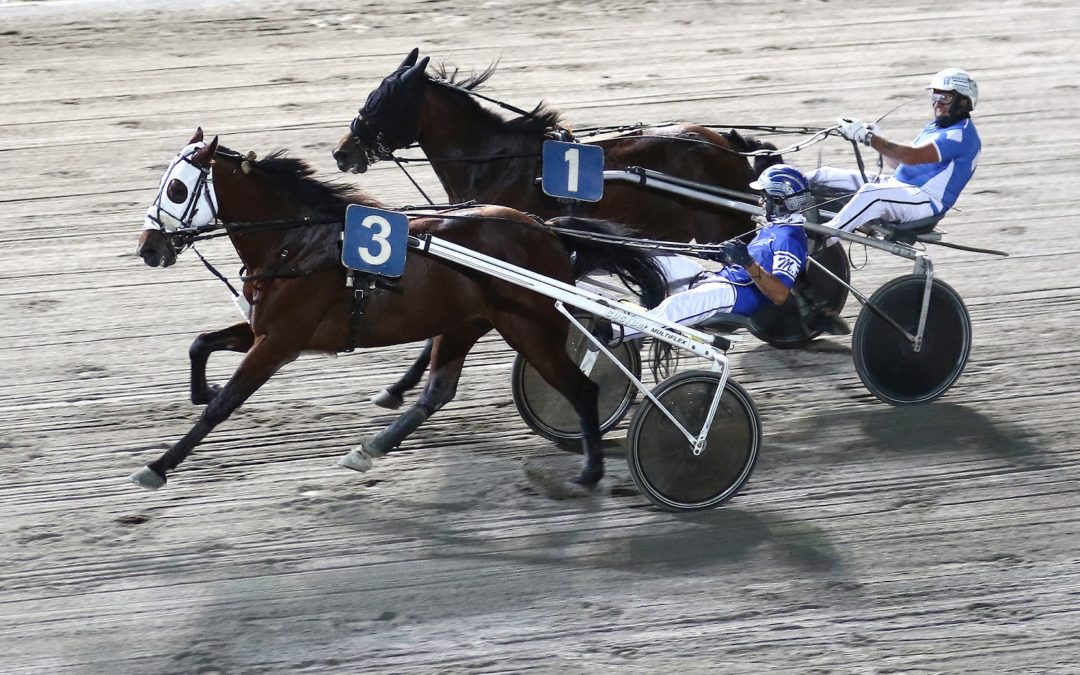 IPPODROMO CESENA TROTTO: PREMIO FATTORIA NICOLUCCI