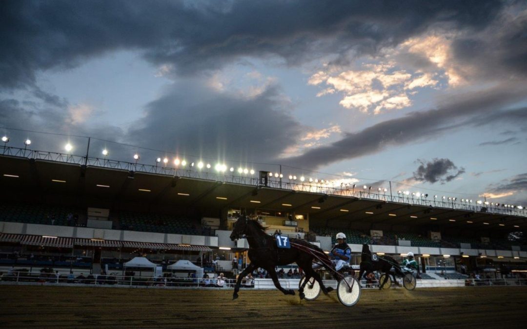 IPPODROMO DI VINOVO: 29 AGOSTO PISTA RIAPERTA