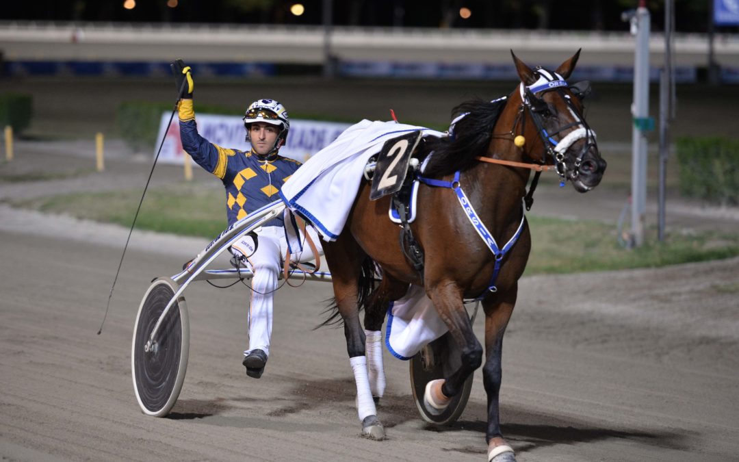 Martedì 24 agosto, Lady di classe all’ippodromo del Savio