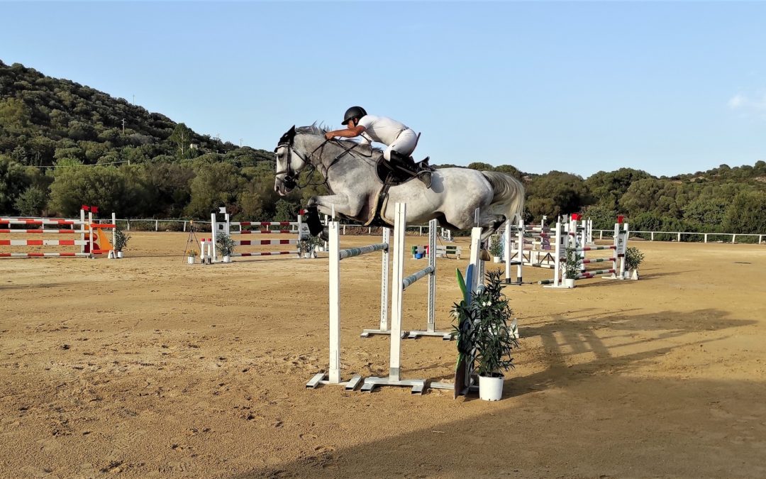 Gallura e salto ostacoli