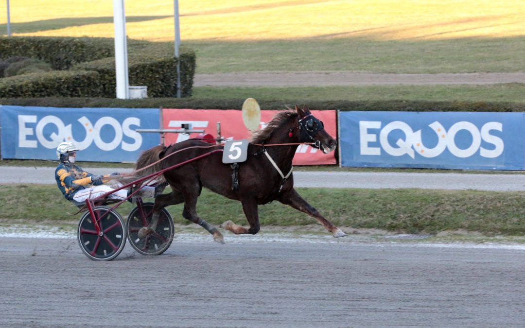 Epifania con i campioni del trotto