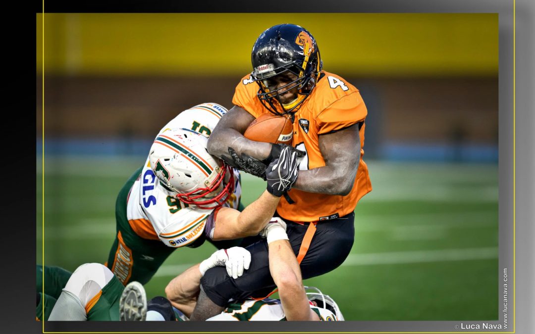 GUELFI E DOLPHINS ANNIENTANO WARRIORS E RHINOS