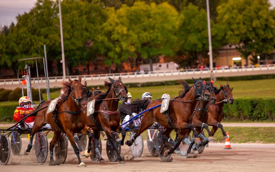 Ippodromo Arcoveggio Bologna: presentazione delle corse