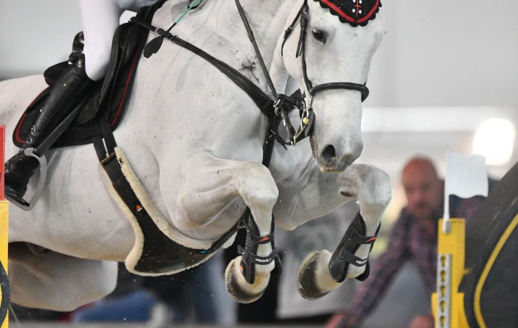 A Fieracavalli un oro e due argenti per i sardi