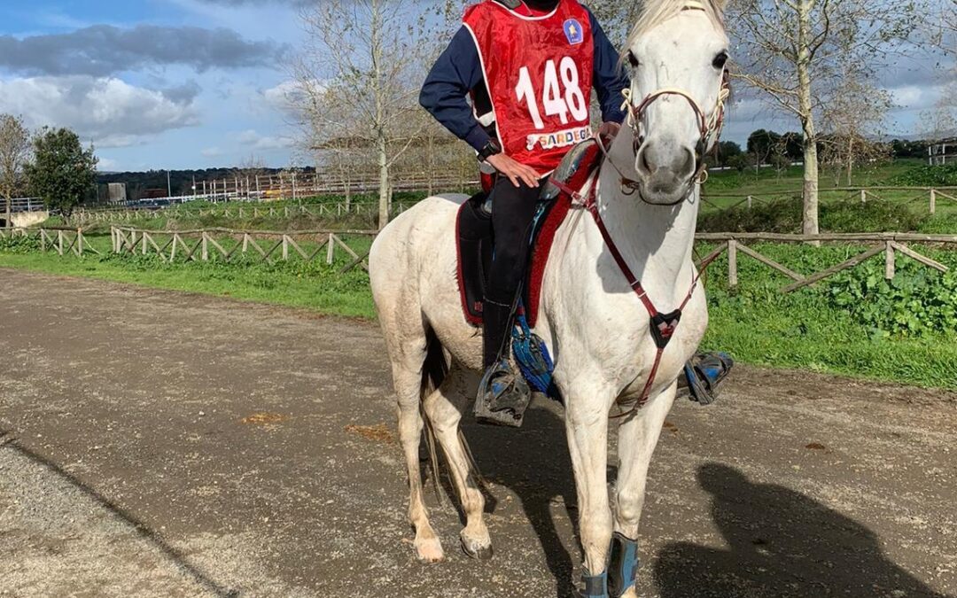 Le gare di Endurance