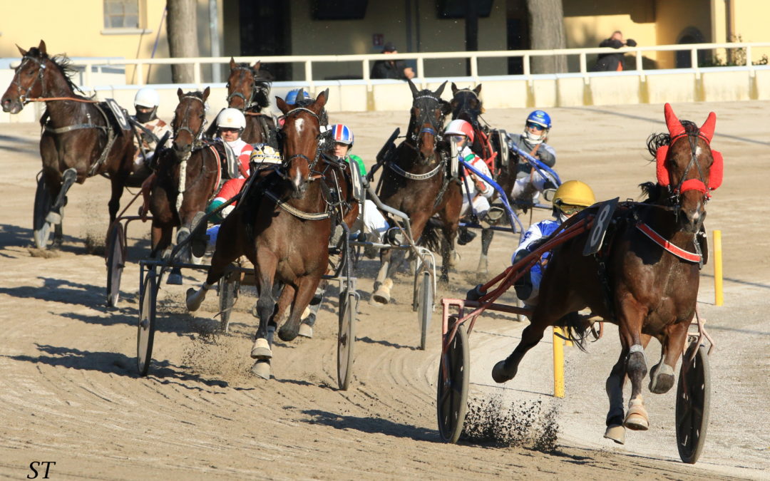 IPPODROMO ARCOVEGGIO BOLOGNA PRESENTAZIONE DELLE CORSE