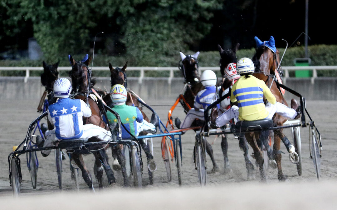 Ippodromo cesena trotto: presentazione corse