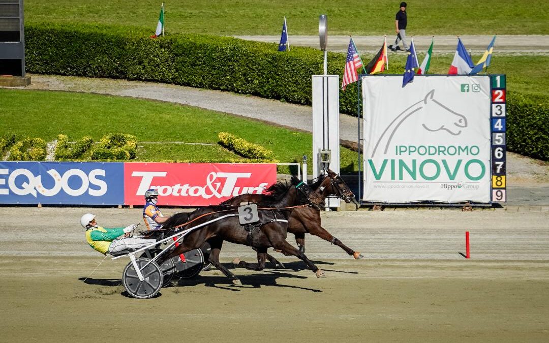 IPPODROMO DI VINOVO: GRAN PREMIO CITTÁ DI TORINO