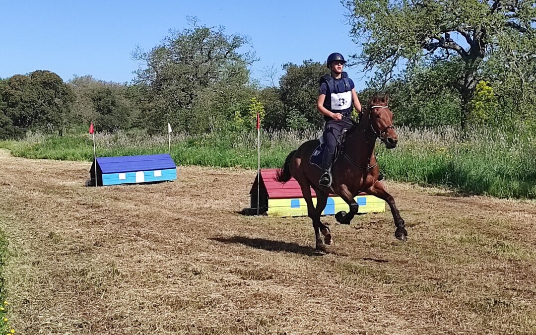 Asvi bloccata: la Fise Sardegna sospende le manifestazioni equestri