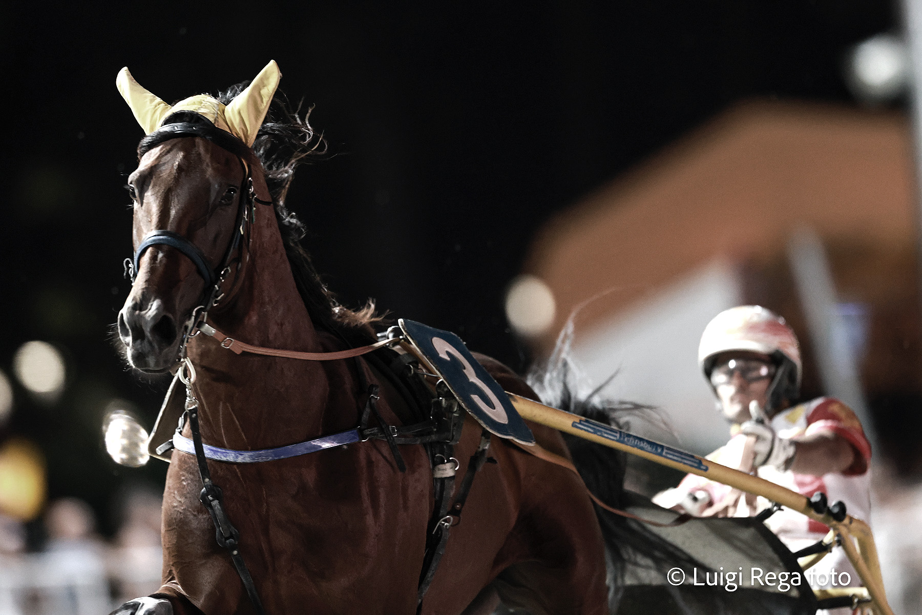 Ippodromo cesena trotto: presentazione corse