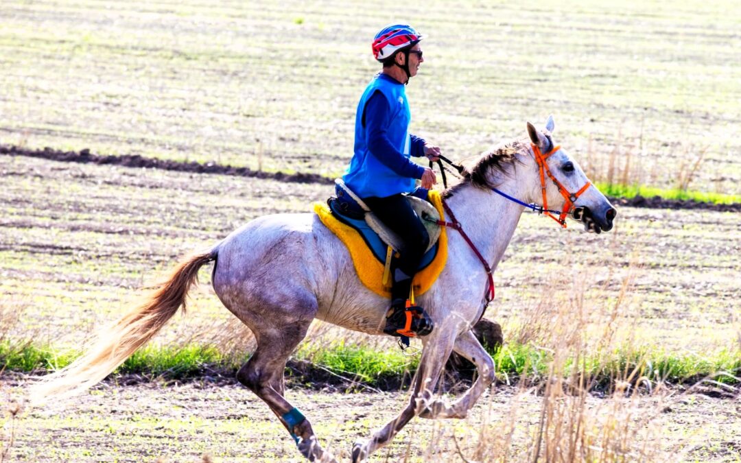 5^ tappa della Coppa Sardegna di Endurance