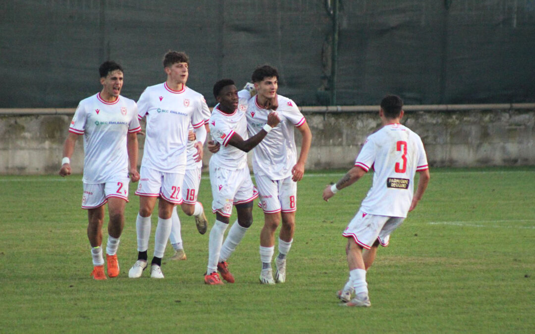 AC Reggiana: Settore Giovanile